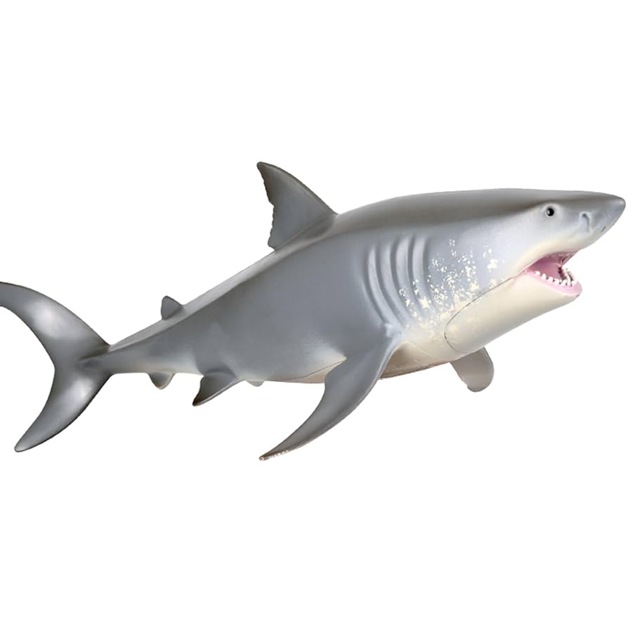 【レア即完売品】H&O SC WING TOP 50 / SHARK サメ レア即完売品】H&O SC WING TOP 50 / SHARK サメ